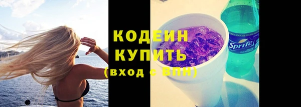 дмт Лагань