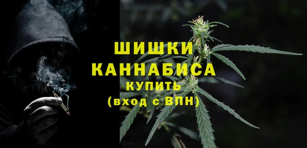 spice Ладушкин
