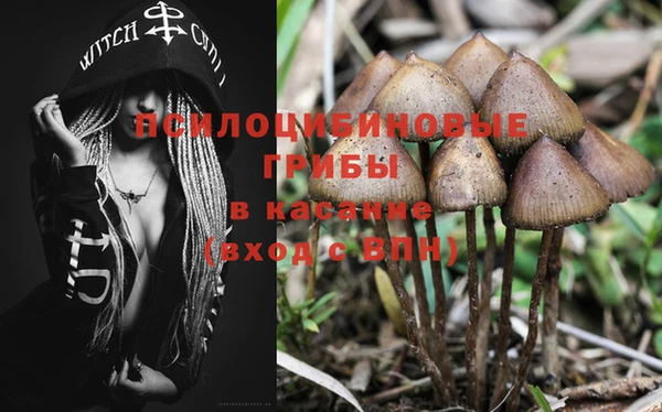 spice Ладушкин