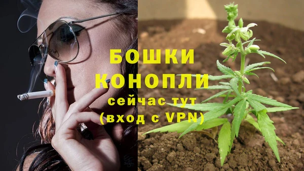 ешки Лабытнанги