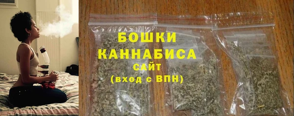дмт Лагань