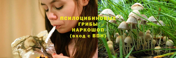spice Ладушкин