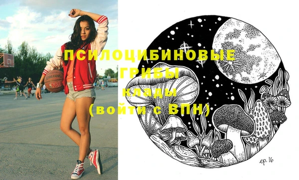 дмт Лагань