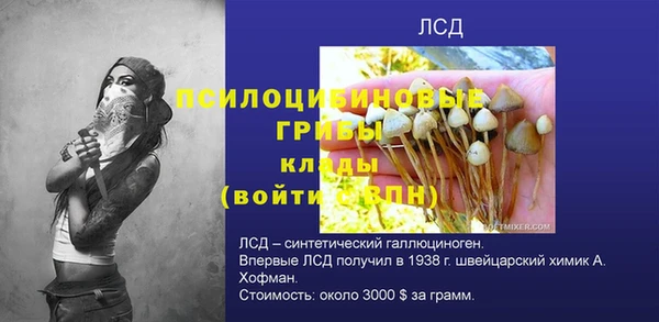 ешки Лабытнанги