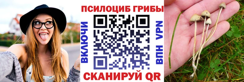 Галлюциногенные грибы мицелий  Воронеж 