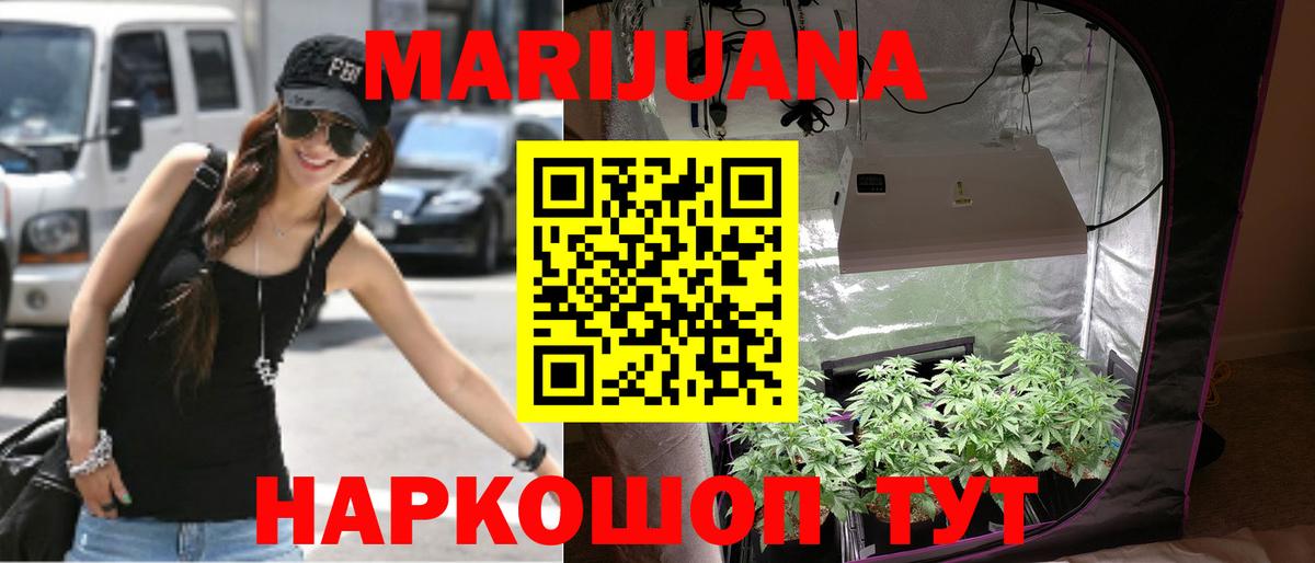 Бошки марихуана планчик Воронеж